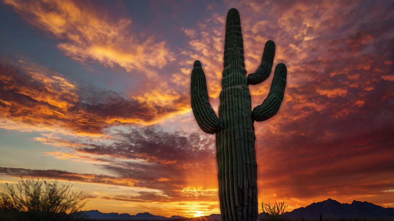 Saguaro Cactus Pictures